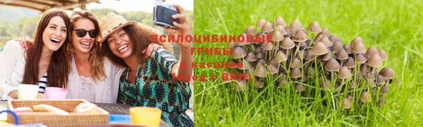 соль ск Осташков