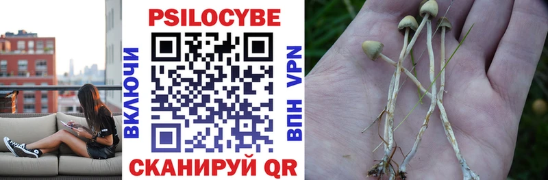 Купить  Светлоград  Псилоцибиновые грибы мицелий 